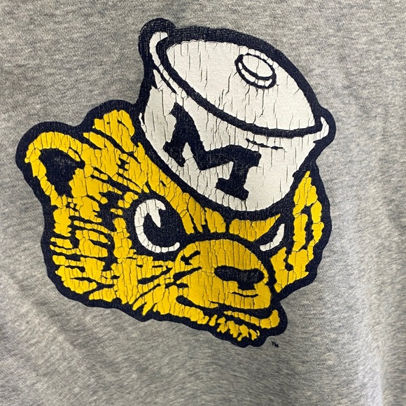 Nike Gray U of M Hoodie for Men - Picture 4 of 6